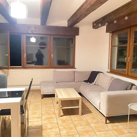 Appartement « Chez Falco » Vue Sur Le Chateau Schirmeck Esterno foto