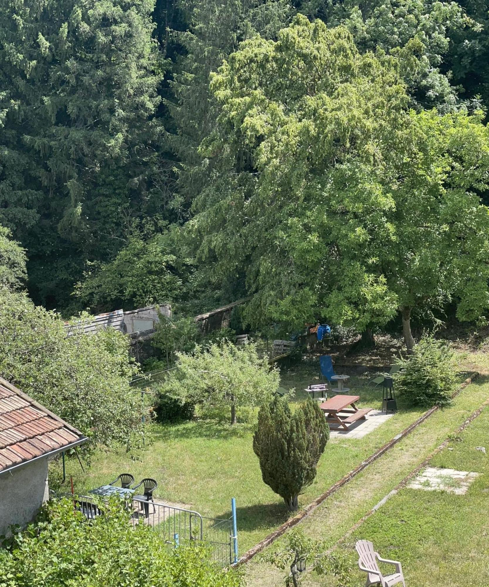 « chez Falco » Vue Sur Le Chateau Schirmeck